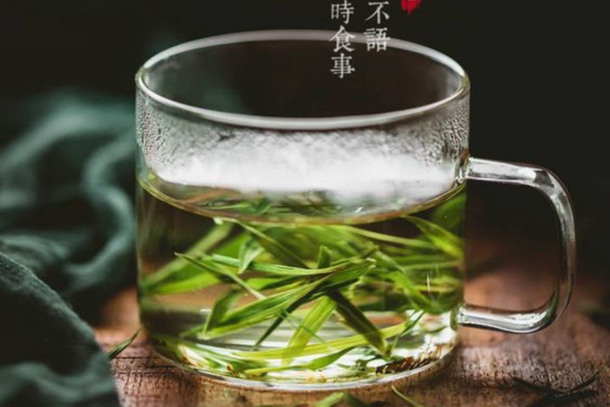  &nbsp;(Uống bạch trà hàng ngày có thể giúp tăng cường miễn dịch cho cơ thể)